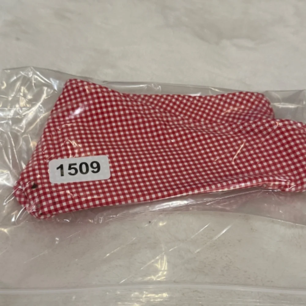 New! Frankies Bikinis Enzo Cheeky Bikini Bottom in Ladybug Gingham 31509